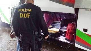 Policial do DOF observa mala com maconha em bagageiro de ônibus (Foto: Divulgação)