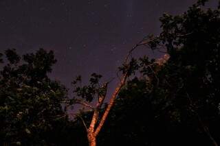 Estrelas são capturadas com técnica de longa exposição (Foto: Henrique Arakaki)