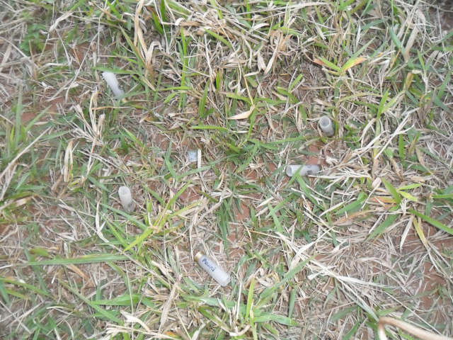  C&aacute;psulas de 3 calibres s&atilde;o encontradas em &aacute;rea de conflito