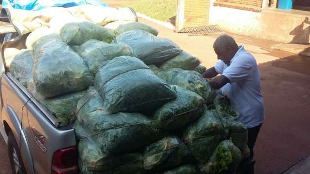 Renda de produtores cresce 4 vezes com venda para &oacute;rg&atilde;os p&uacute;blicos