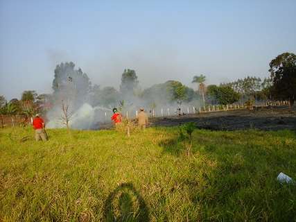 Corpo de Bombeiros combateu 9 incêndios em vegetação apenas neste domingo