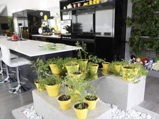 Em vasos, horta orgânica traz o frescor dos temperos para dentro da cozinha. (Fotos: Cleber Gellio)