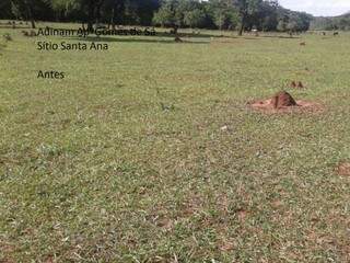 Pastagem degrada no Sítio Santa Ana (Foto: Divulgação)
