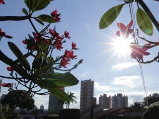 Campo Grande amanheceu com céu claro, mas há previsão de chuva. (Foto: Kísie Aionã)