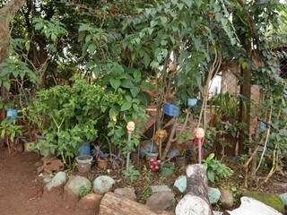O mini jardim plantado por dona Nilce para melhorar a &quot;aparência&quot; da rua (Foto: Kisie Ainoã)