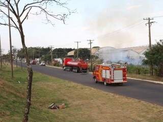 Três viaturas dos bombeiros trabalharam no controle das chamas (foto: Paulo Francis)