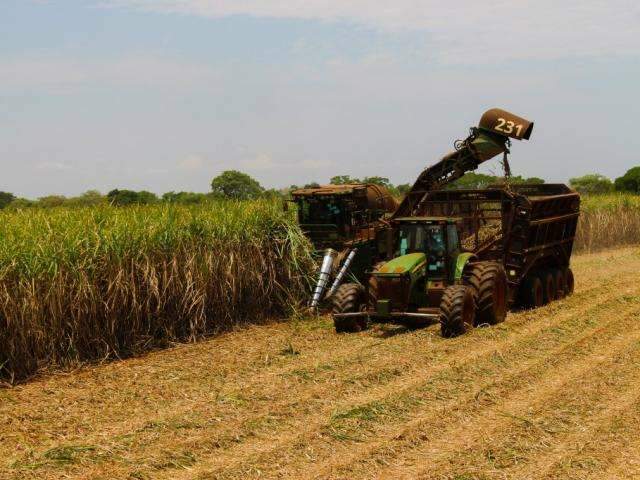 Moagem da cana-de-a&ccedil;&uacute;car atinge 38,1 milh&otilde;es de toneladas em MS