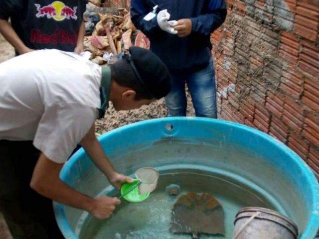 Epidemia de dengue coloca maior cidade do interior em emerg&ecirc;ncia