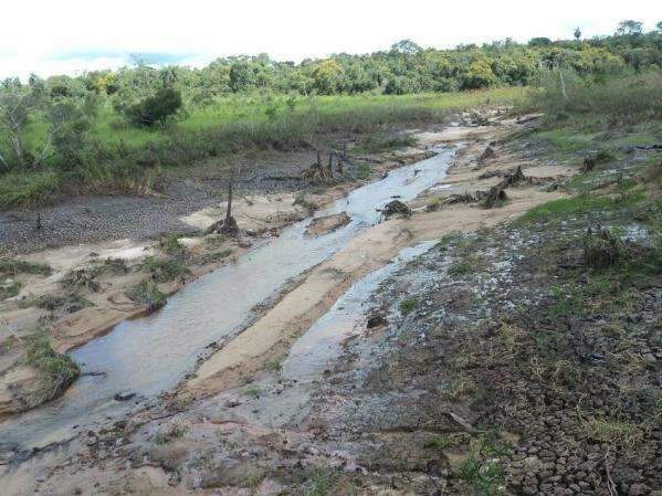 PMA multa produtor rural em R$ 50 mil por degradar &aacute;rear de mata ciliar