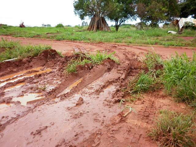  Ladr&otilde;es cortam cerca de arame e roubam caminh&atilde;o em Nova Andradina
