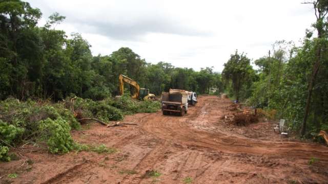 Obra de novo acesso ao Parque dos Poderes vai derrubar 1.222 &aacute;rvores