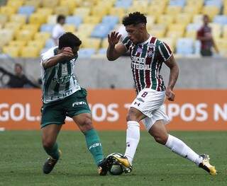 Palmeiras venceu o Fluminense, no estádio Maracanã (Foto: Nelson Perez e Lucas Merçon/FFC)