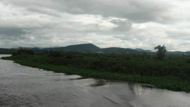  Taxa de desmatamento no Pantanal sofre ligeiro decl&iacute;nio, aponta estudo