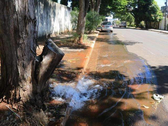 &Aacute;gua jorra por horas em vazamento na rua Rodolfo Jos&eacute; Pinho