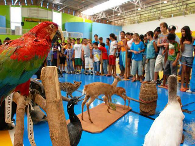  Reserva no meio da cidade &eacute; mau exemplo sobre prote&ccedil;&atilde;o aos animais