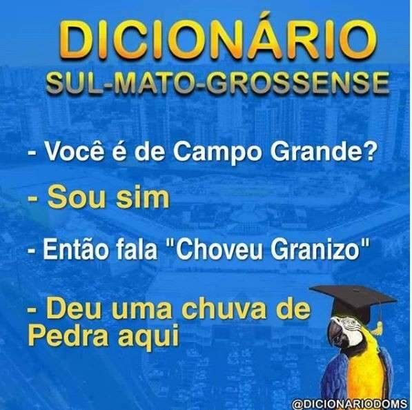 Página no Instagram ganha seguidores após divulgar dicionário de