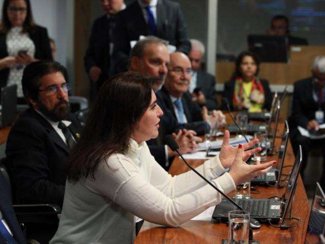 Proposta de Simone que reduz Imposto de Renda para empresas em MS &eacute; aprovada
