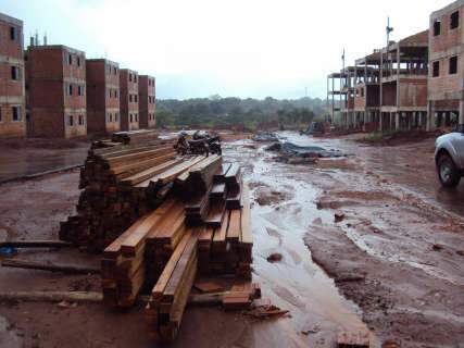 Madeireiras são autuadas por usar madeira sem comprovar origem legal