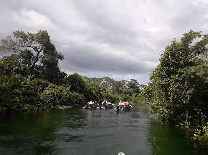 Cruzeiro Fluvial com aventuras, passeios e descobertas no Pantanal 