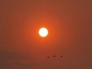 Em Campo Grande, o dia amanheceu nesta segunda-feira com sol em tom alaranjado por causa do tempo seco. (Foto: Henrique Kawaminami)
