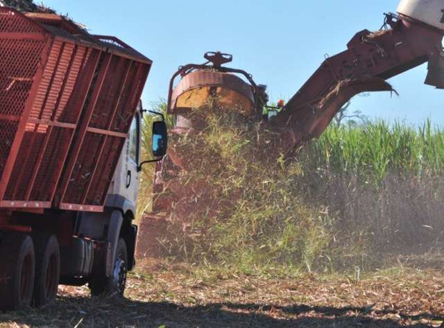 Sobe de 8% para 13% previs&atilde;o de crescimento da agricultura em MS