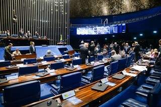 Senadores aprovaram proposta nesta tarde. (Foto: Senado)