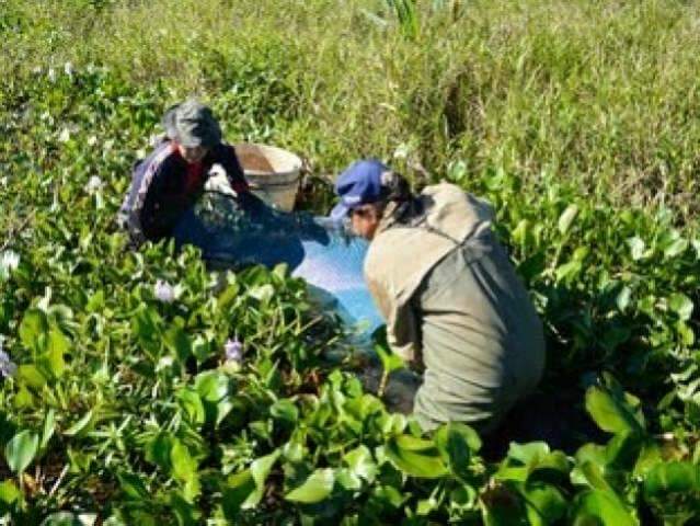 Mulheres ribeirinhas discutem trabalho e produ&ccedil;&atilde;o na Semana do Meio Ambiente