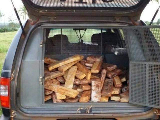 Quase 100 kg de maconha s&atilde;o apreendidos em s&iacute;tio e casal &eacute; preso