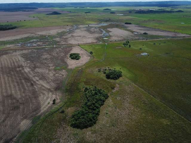 A condena&ccedil;&atilde;o do Prata, rio essencial para a biodiversidade