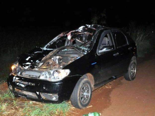 Cavalo morre e idoso fica ferido em acidente com ve&iacute;culo na MS-376