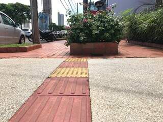 Na Afonso Pena, calçada com piso tátil termina com planta (Foto: Danielle Mattos)