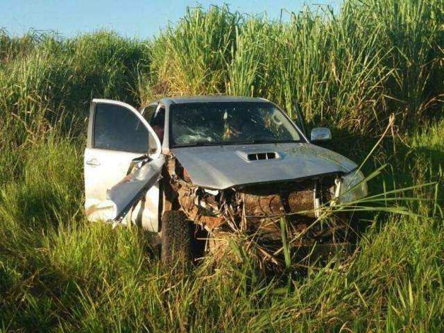 Condutor perde controle e camionete sai da pista ap&oacute;s atropelar anta em rodovia