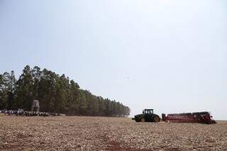 Lançamento do plantio de soja aconteceu ontem (18) e produção para safra é de 8,3 milhões de toneladas. (Foto: Aprosoja/MS)