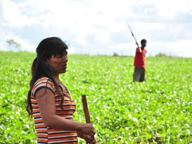Comiss&atilde;o da C&acirc;mara Federal discute situa&ccedil;&atilde;o dos &iacute;ndios em Dourados hoje