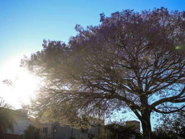 Estado ter&aacute; s&aacute;bado quente e seco com temperatura de at&eacute; 37&deg;C na Capital