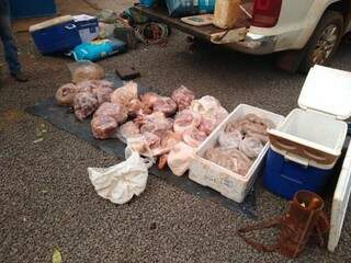 Foram encontrados 87 quilos de carne e linguiça no veículo do caçador. (Foto: Divulgação/PMA)