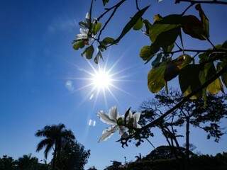 Sol aparece e eleva temperatura em Campo Grande nesta segunda-feira (Kísie Ainoã)
