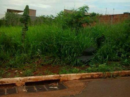 Moradores reclamam que terreno baldio &eacute; usado de esconderijo para bandidos