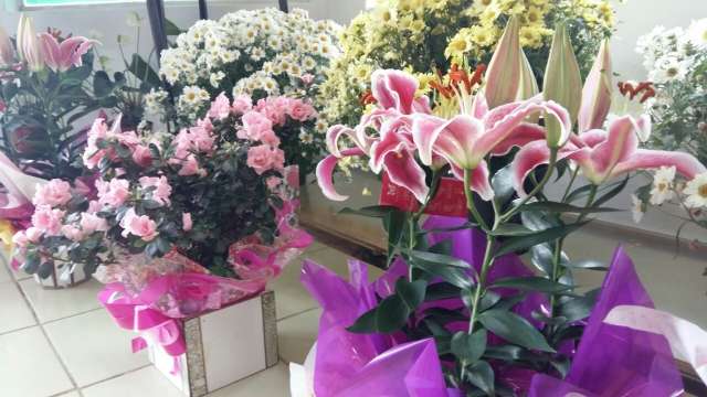 Floriculturas ampliam hor&aacute;rio para vender presentes de &uacute;ltima hora