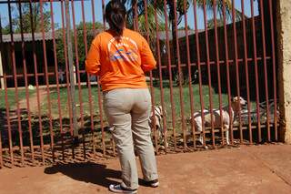 Equipes do CCZ percorrem Jardim Anache para vacinar cachorros. (Foto: João Garrigó)