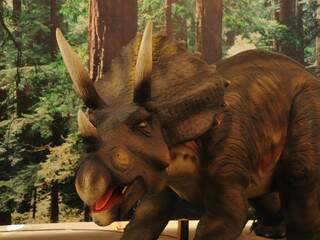 Dinossauro da espécie Triceratops. (Foto: Rodrigo Pazinato)