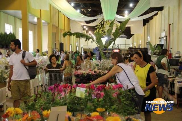Pra&ccedil;a Ary Coelho recebe a partir do dia 26  Exposi&ccedil;&atilde;o de Flores de Holambra