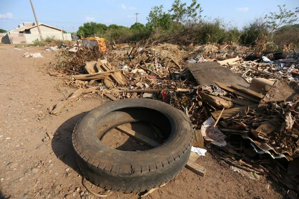 Terrenos Viram Criadouros De Mosquito E Moradores Temem Nova Epidemia