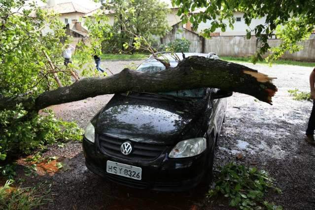 &Aacute;rvore atinge carro que parou para se proteger de chuva de granizo
