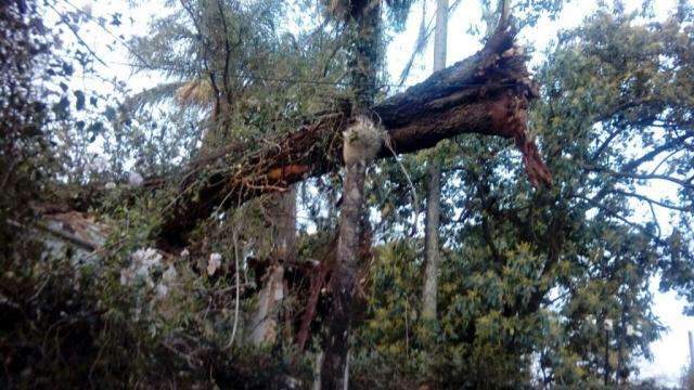 Moradores e empres&aacute;rios ainda sentem reflexos dos estragos da forte chuva
