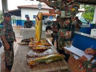 Quantidade de pescado apreendida foi semelhante à operação anterior, 614,5 kg e 605 na operação passada. (Foto: Divulgação)