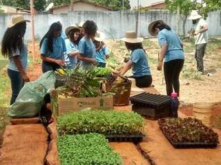 Na horta, as alunas ajudaram a separar as plantas antes do plantio. (Foto: Arquivo/escola)