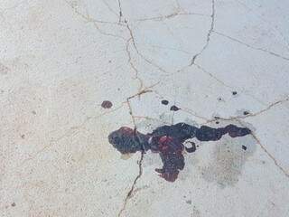 Hoje de manhã ainda era possível encontrar manchas de sangue na calçada  (Foto: Willian Leite)