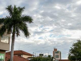 Céu nublado no Jardim dos Estados, em Campo Grande, nesta quinta-feira (Foto: Henrique Kawaminami)