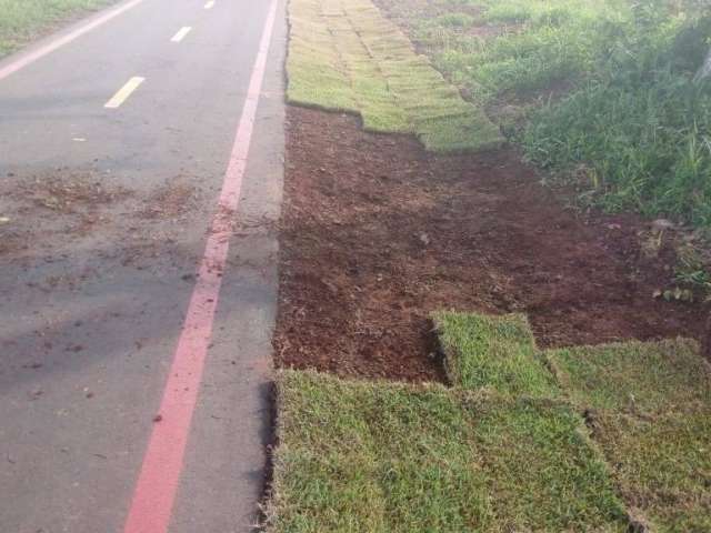 Ap&oacute;s furto de grama, prefeito diz que pagar&aacute; R$ 1 mil para quem denunciar